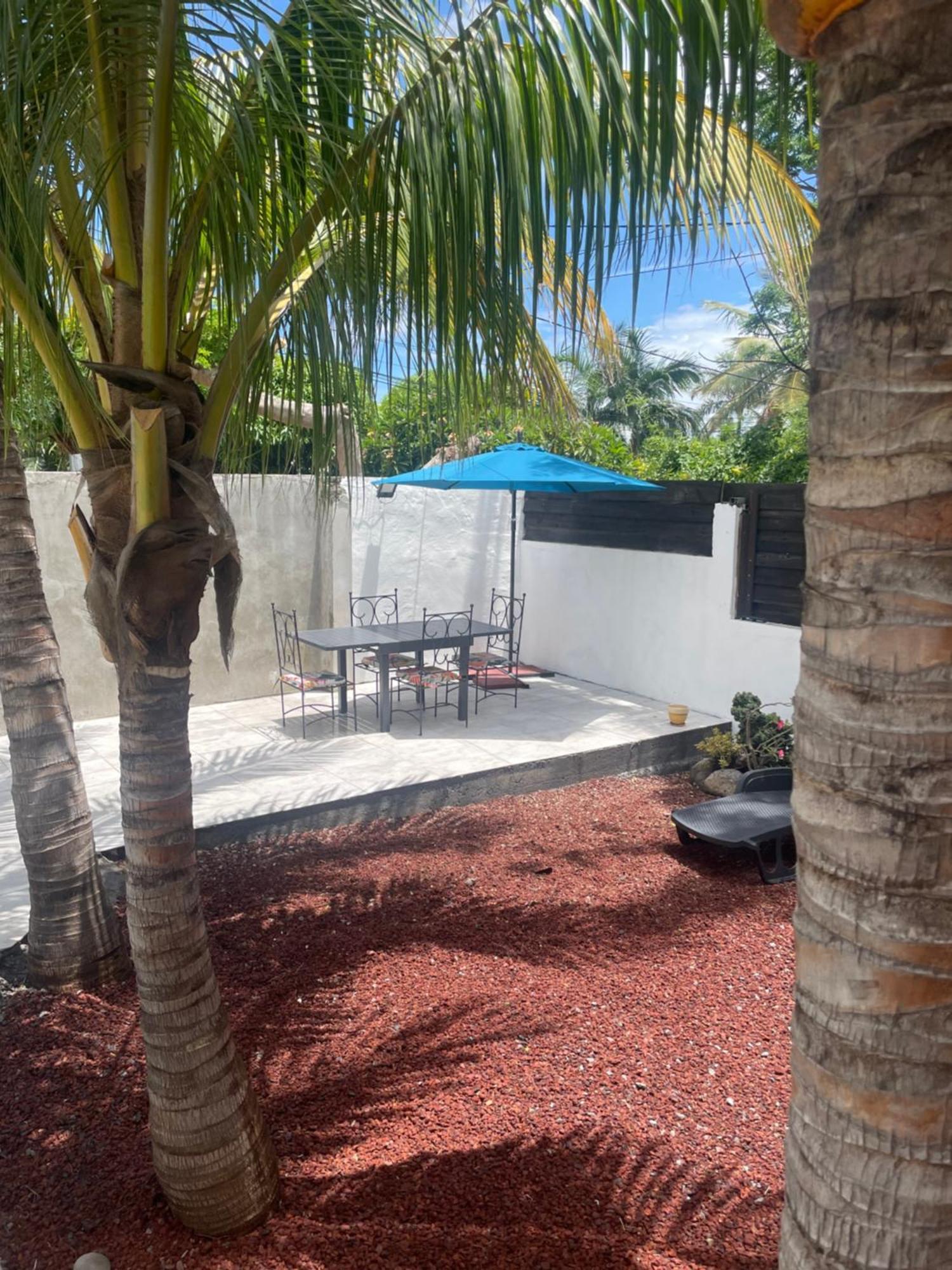 סן-פייר Villa Albizia 974 Avec Piscine Et Spa מראה חיצוני תמונה
