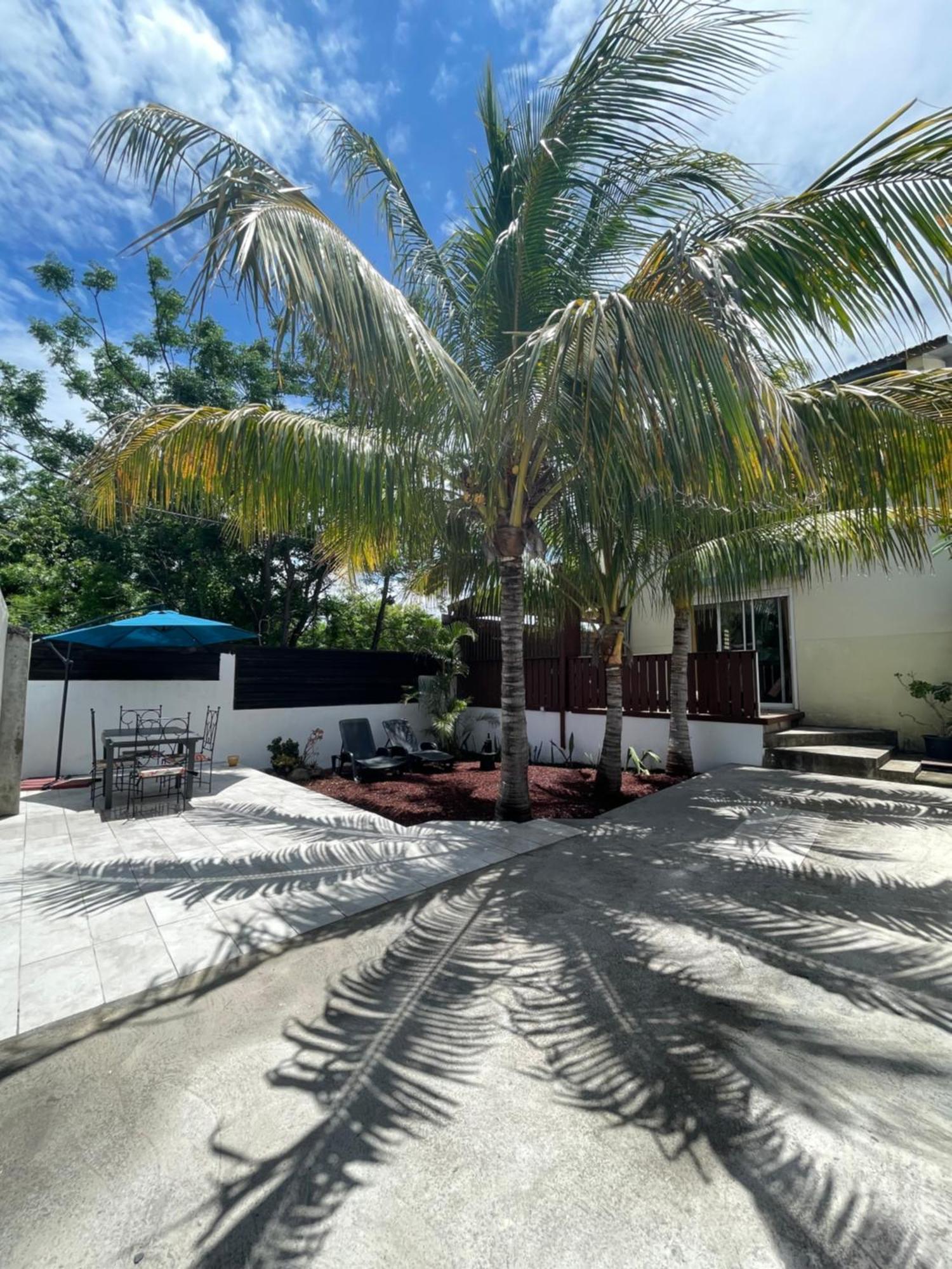 סן-פייר Villa Albizia 974 Avec Piscine Et Spa מראה חיצוני תמונה
