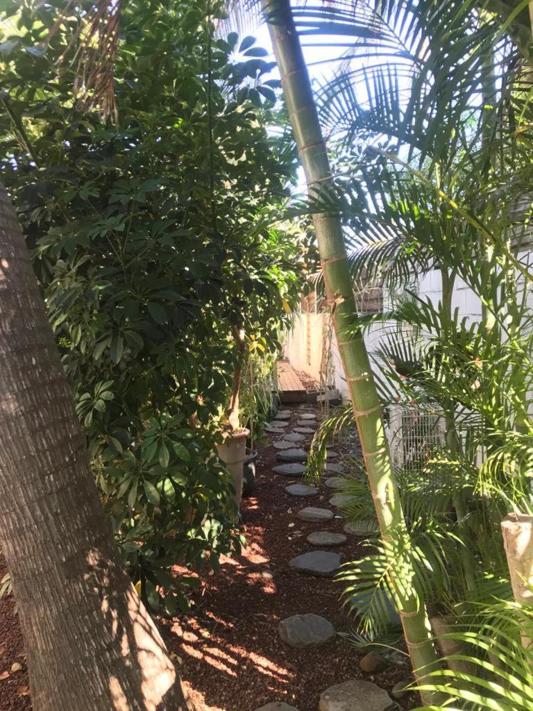 סן-פייר Villa Albizia 974 Avec Piscine Et Spa מראה חיצוני תמונה