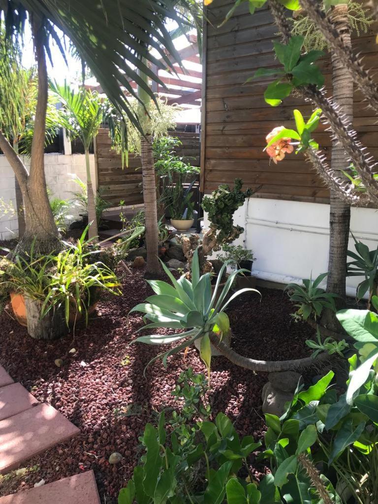 סן-פייר Villa Albizia 974 Avec Piscine Et Spa מראה חיצוני תמונה